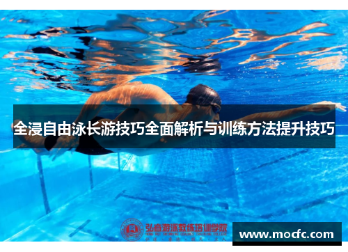 全浸自由泳长游技巧全面解析与训练方法提升技巧