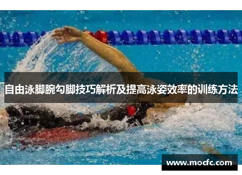 自由泳脚腕勾脚技巧解析及提高泳姿效率的训练方法