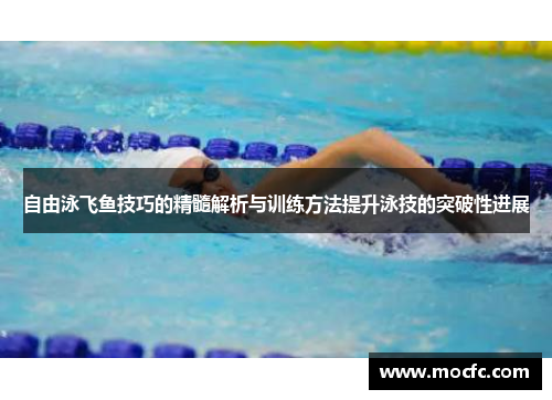 自由泳飞鱼技巧的精髓解析与训练方法提升泳技的突破性进展