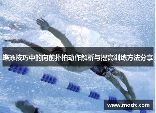 蝶泳技巧中的向前扑拍动作解析与提高训练方法分享