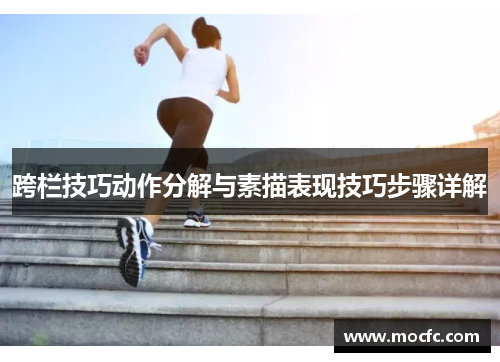 跨栏技巧动作分解与素描表现技巧步骤详解