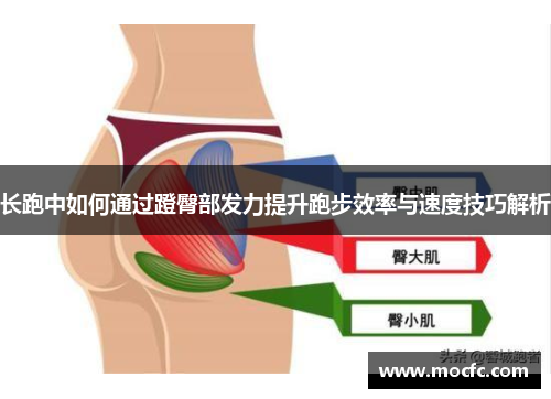 长跑中如何通过蹬臀部发力提升跑步效率与速度技巧解析